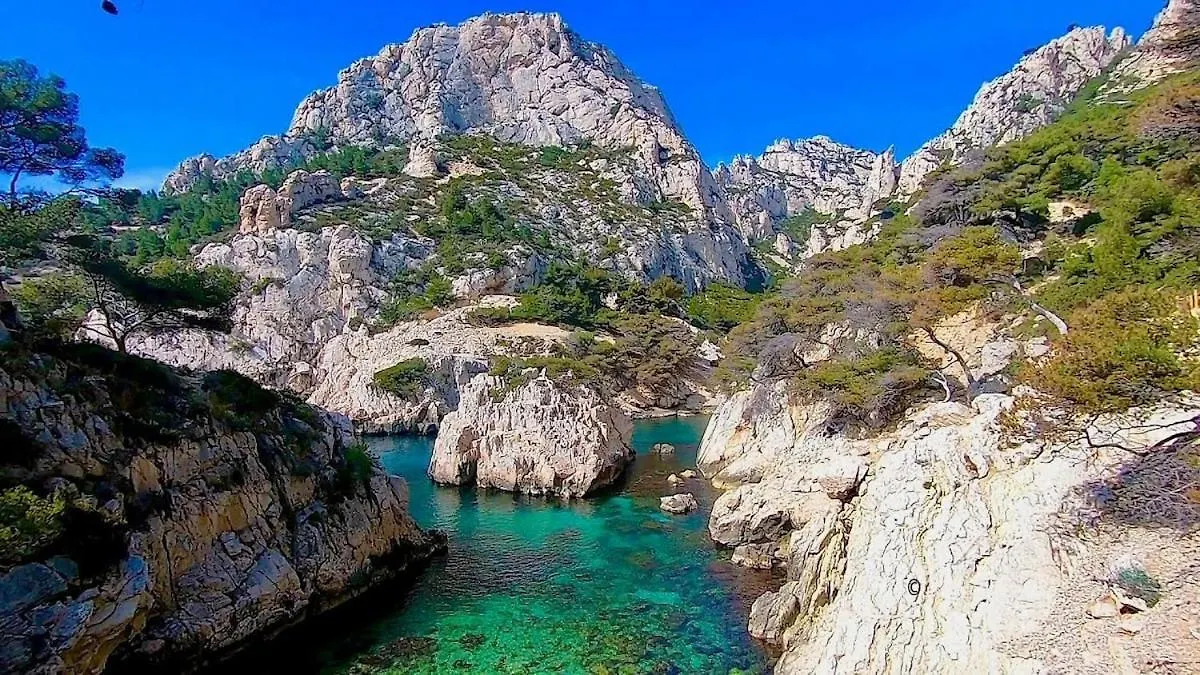Appartement T2 Proche Des Calanques Sormiou Et Morgiou Marseille Apartment